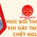 Trung tâm tư vấn pháp luật Toàn Tâm: Các hình phạt đối với người chưa thành niên phạm tội- Gây tai nạn chết người phải bồi thường bao nhiêu tiền?