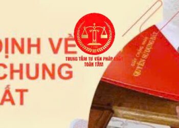 Trung tâm tư vấn pháp luật Toàn Tâm: Lỡ mua đất chung, muốn bán nhưng không chịu – Đất dính quy hoạch có được tách thửa hay không?