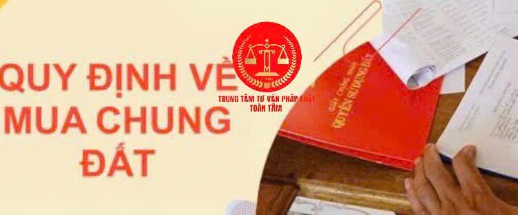 Trung tâm tư vấn pháp luật Toàn Tâm: Lỡ mua đất chung, muốn bán nhưng không chịu – Đất dính quy hoạch có được tách thửa hay không?