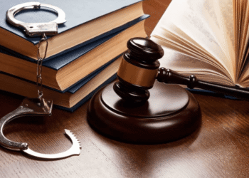 Tình huống pháp lý liên quan nữ tài xế ô tô 7 chỗ tông tử vong chủ tịch xã – Để trâu bò thả rông húc chết người?