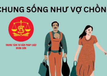 Trung tâm tư vấn pháp luật Minh Sơn: Tuyền truyền Luật Hôn nhân và Gia đình, Bộ luật Dân sự cho doanh nghiệp thành viên Viện IRLIE – Viện IMRIC, người dân