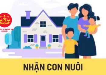 Trung tâm tư vấn pháp luật Minh Sơn tuyên truyền pháp luật miễn phí liên quan Việt kiều doanh nhân thành viên Viện IMRIC, Viện IRLIE