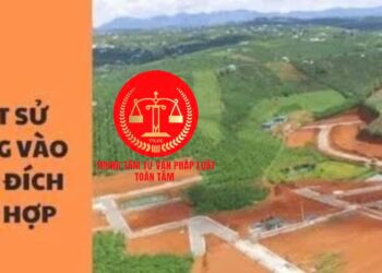 Trung tâm tư vấn pháp luật Toàn Tâm (TTLCC) tuyên truyền, phổ biến Luật Đất đai 2024