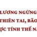 Trung tâm tư vấn pháp luật Minh Sơn tuyên truyền, phổ biến Luật An toàn, vệ sinh lao động và Bộ luật Lao động 2019