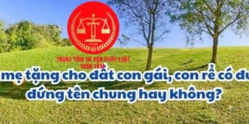 Trung tâm tư vấn pháp luật Toàn Tâm tuyên truyền Nghị định 101/2024/NĐ-CP và Luật Hôn nhân và Gia đình cho doanh nghiệp Viện IMRIC – Viện IRLIE và người dân