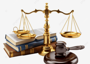 Tình huống pháp lý liên quan chủ nuôi và nhóm chuyên đào trộm heo bệnh đã tiêu hủy về bánnhư thế nào?