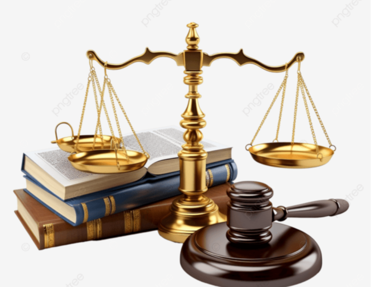 Tình huống pháp lý liên quan chủ nuôi và nhóm chuyên đào trộm heo bệnh đã tiêu hủy về bánnhư thế nào?