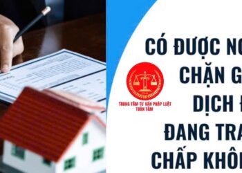 Trung tâm tư vấn pháp luật Toàn Tâm tuyên truyền về Luật Chuyển giao người đang chấp hành án phạt tù năm 2025 và BLTTDS năm 2015 (sửa đổi, bổ sung năm 2025)