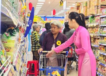 PHƯỜNG AN HỘI, TỈNH VĨNH LONG – CHỞ MÙA XUÂN ĐẾN VỚI MỌI NHÀ