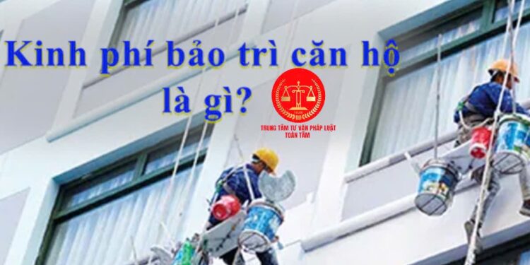 Trung tâm tư vấn pháp luật Toàn Tâm (TTLCC) trả lời thư liên quan việc cưỡng chế bàn giao kinh phí bảo trì chung cư