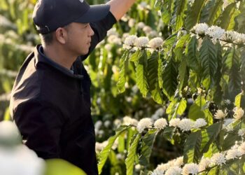 BM Farm và BM Group: Hành trình xây dựng mô hình nông nghiệp bền vững từ tầm nhìn của CEO Hồ Quốc Huy