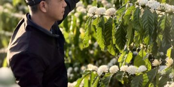 BM Farm và BM Group: Hành trình xây dựng mô hình nông nghiệp bền vững từ tầm nhìn của CEO Hồ Quốc Huy