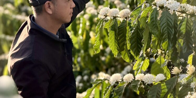 BM Farm và BM Group: Hành trình xây dựng mô hình nông nghiệp bền vững từ tầm nhìn của CEO Hồ Quốc Huy