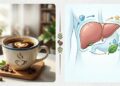 Điều gì xảy ra với gan khi uống cà phê mỗi ngày?