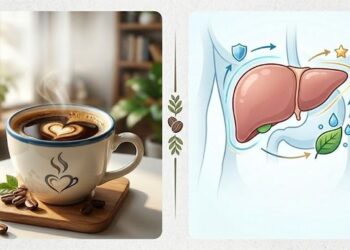 Điều gì xảy ra với gan khi uống cà phê mỗi ngày?