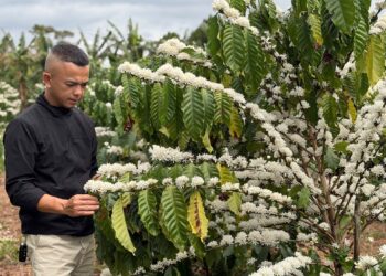 Khi người trẻ làm nông thế hệ mới, ứng dụng khoa học công nghệ và tư duy thương hiệu