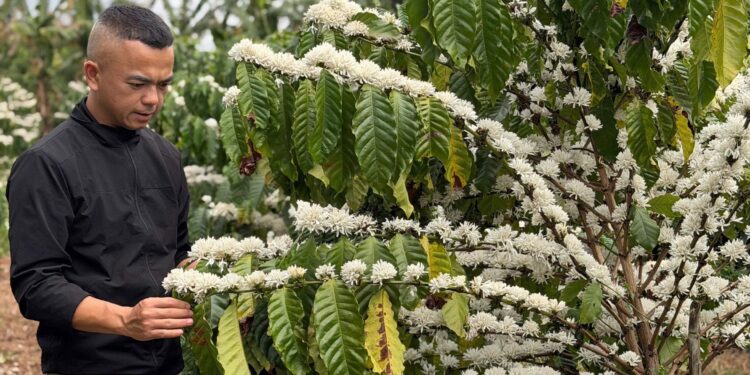 Khi người trẻ làm nông thế hệ mới, ứng dụng khoa học công nghệ và tư duy thương hiệu