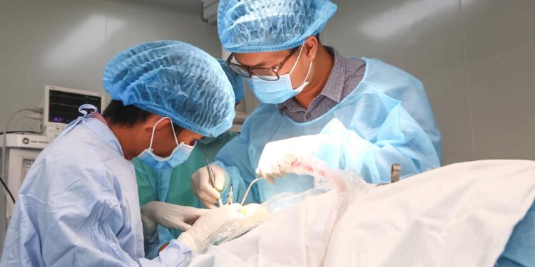 Du lịch y tế hướng đi mới, phát huy lợi thế cạnh tranh để thu hút du khách quốc tế