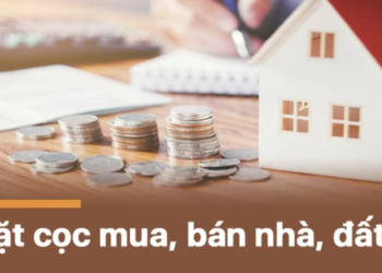 Trung tâm tư vấn pháp luật Toàn Tâm tuyên truyền về Luật Đất đại 2024 và Bộ luật Dân sự 2015 cho CLB DN IMRIC – IRLIE và người dân