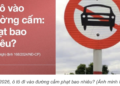 Trung tâm tư vấn pháp luật Minh Sơn tuyên truyền về Nghị định 168/2024/NĐ-CP và Nghị định số 81/2026/NĐ-CP cho người dân và CLB DN IMRIC – IRLIE