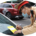 Trung tâm tư vấn pháp luật Minh Sơn tuyên truyền về Nghị định 168/2024/NĐ-CP cho CLB DN IMRIC – IRLIE và người dân
