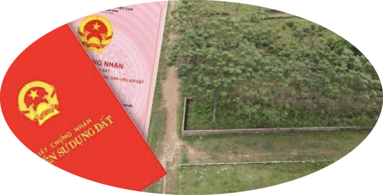 Trung tâm tư vấn pháp luật Minh Sơn tuyên truyền, phổ biến pháp luật về Nghị định số 103/2024; Luật Đất đai năm 2024 cho người dân