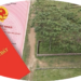Trung tâm tư vấn pháp luật Minh Sơn tuyên truyền, phổ biến pháp luật về Nghị định số 103/2024; Luật Đất đai năm 2024 cho người dân