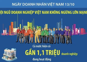 Đội ngũ doanh nghiệp Việt Nam không ngừng lớn mạnh 